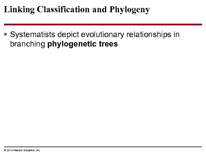 Linking Classification and Phylogeny § Systematists depict evolutionary relationships in branching phylogenetic trees ©