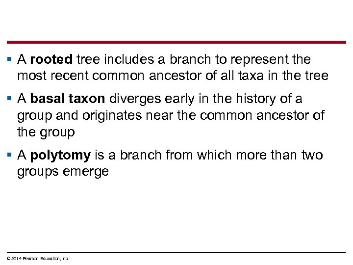 § A rooted tree includes a branch to represent the most recent common ancestor