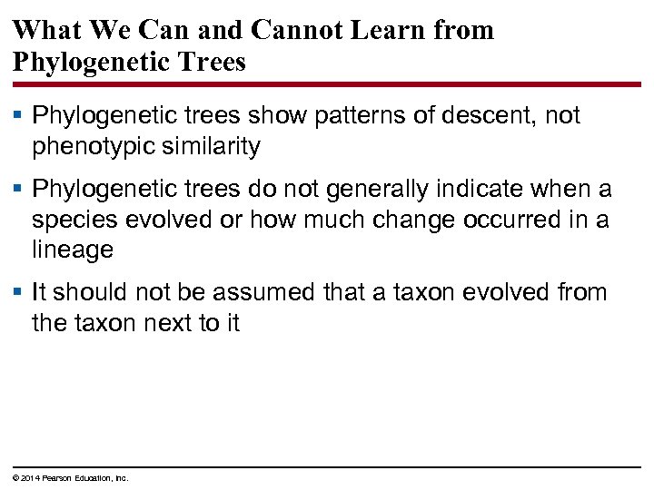 What We Can and Cannot Learn from Phylogenetic Trees § Phylogenetic trees show patterns