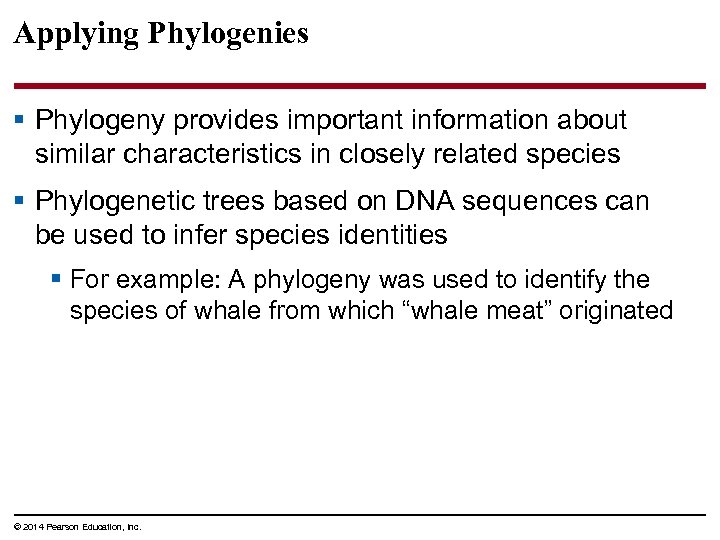 Applying Phylogenies § Phylogeny provides important information about similar characteristics in closely related species