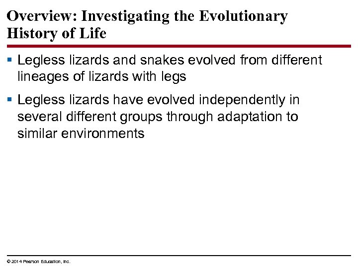 Overview: Investigating the Evolutionary History of Life § Legless lizards and snakes evolved from