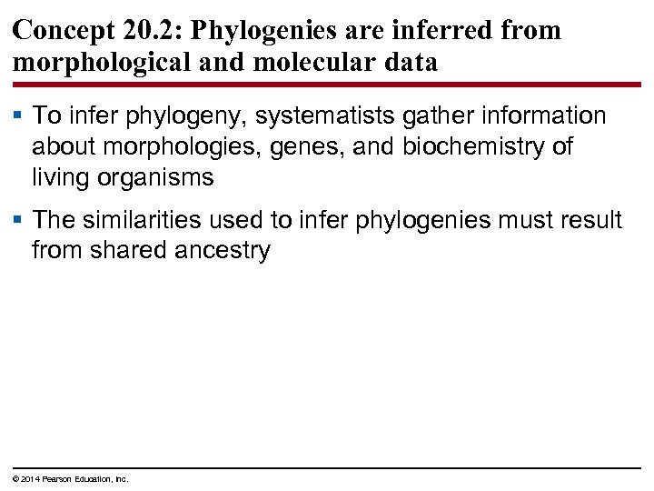 Concept 20. 2: Phylogenies are inferred from morphological and molecular data § To infer