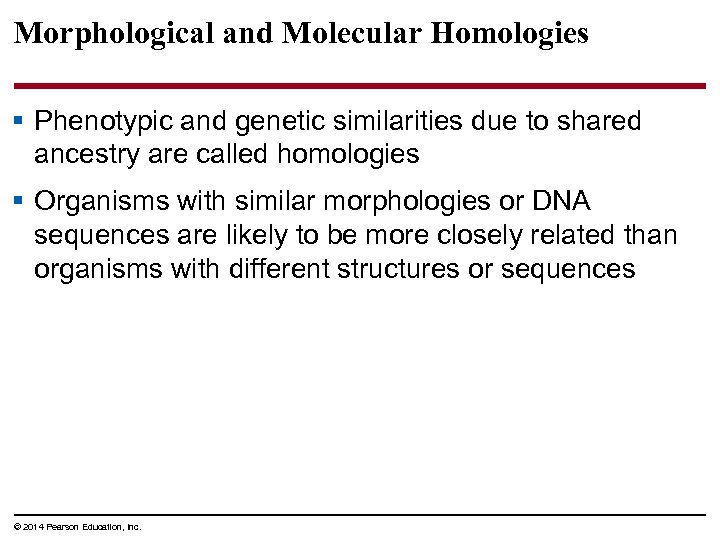 Morphological and Molecular Homologies § Phenotypic and genetic similarities due to shared ancestry are