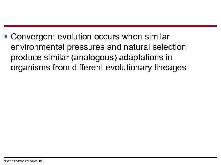 § Convergent evolution occurs when similar environmental pressures and natural selection produce similar (analogous)