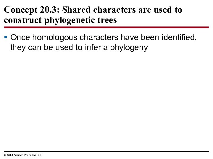 Concept 20. 3: Shared characters are used to construct phylogenetic trees § Once homologous