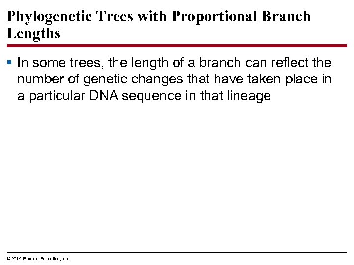 Phylogenetic Trees with Proportional Branch Lengths § In some trees, the length of a