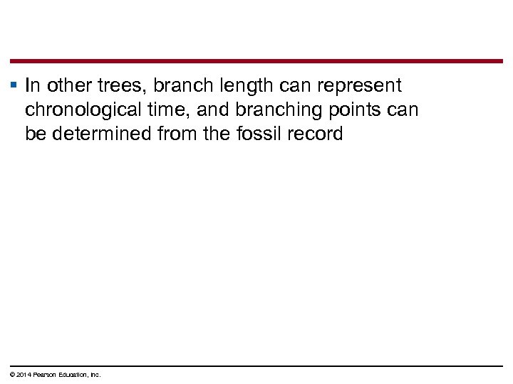 § In other trees, branch length can represent chronological time, and branching points can