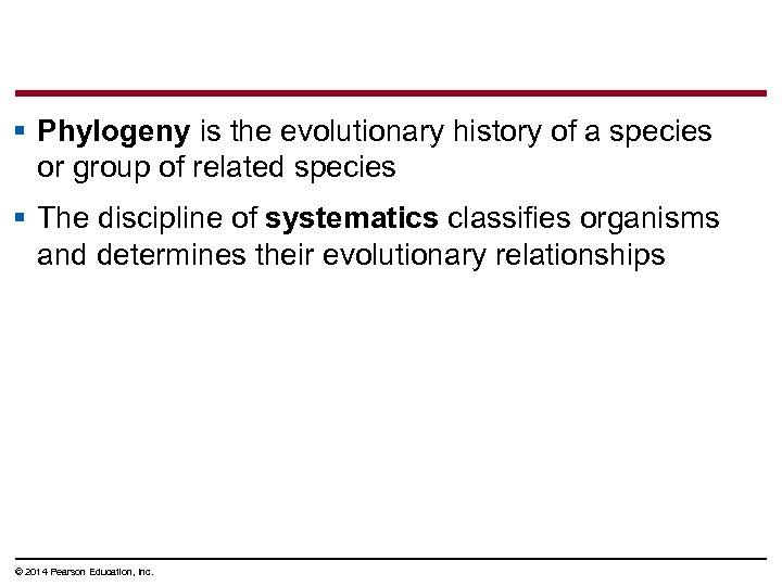 § Phylogeny is the evolutionary history of a species or group of related species