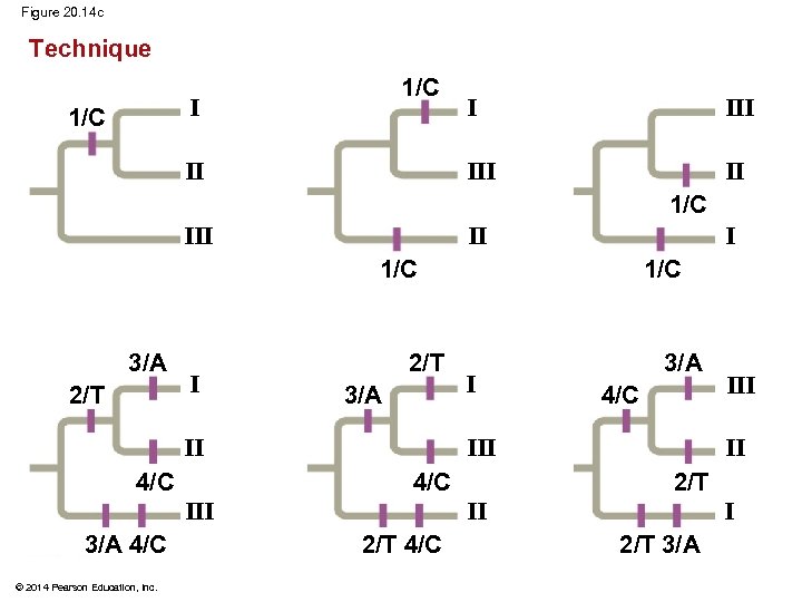 Figure 20. 14 c Technique 1/C II I III I 1/C III II I