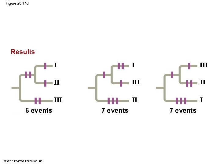 Figure 20. 14 d Results I II III © 2014 Pearson Education, Inc. III