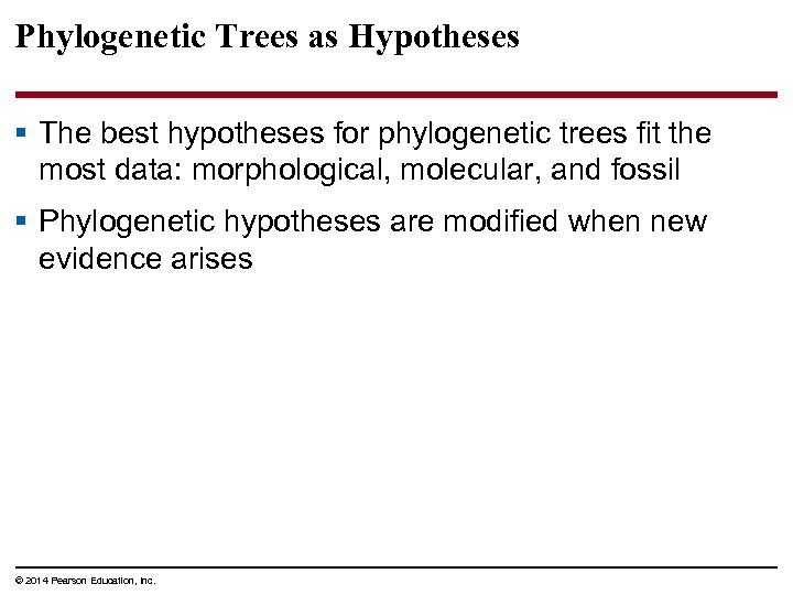 Phylogenetic Trees as Hypotheses § The best hypotheses for phylogenetic trees fit the most