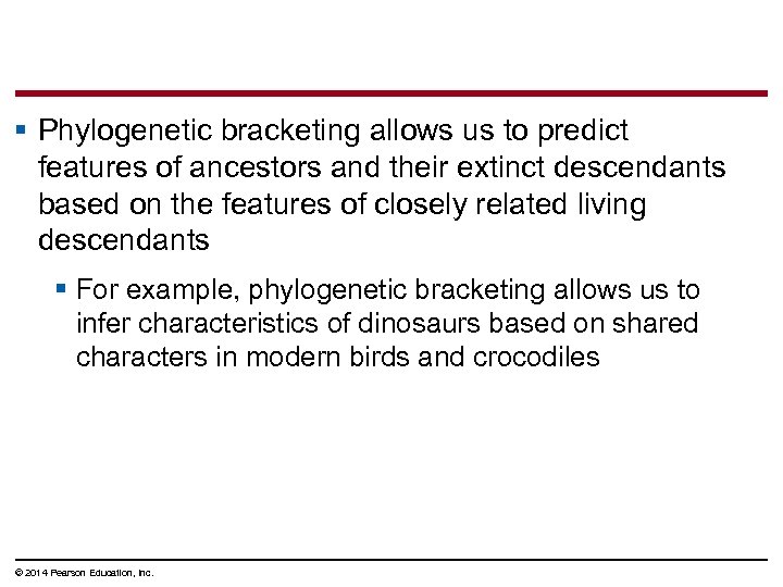 § Phylogenetic bracketing allows us to predict features of ancestors and their extinct descendants