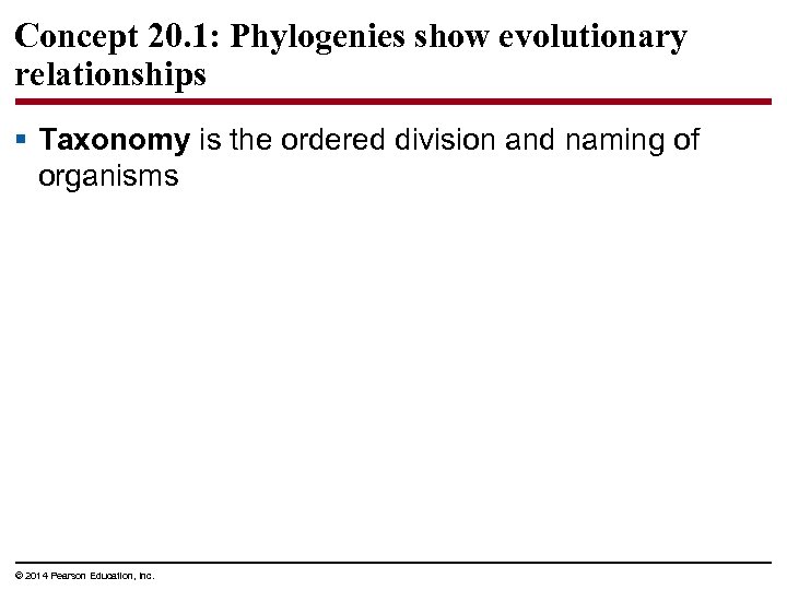 Concept 20. 1: Phylogenies show evolutionary relationships § Taxonomy is the ordered division and