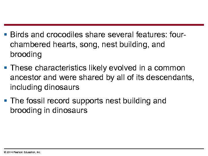 § Birds and crocodiles share several features: fourchambered hearts, song, nest building, and brooding