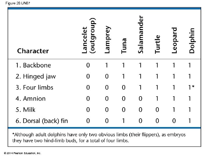 Figure 20. UN 07 © 2014 Pearson Education, Inc. 