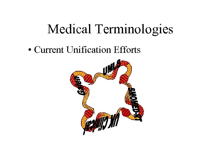 Medical Terminologies • Current Unification Efforts 