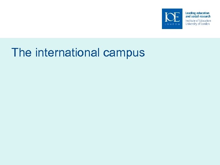 The international campus 