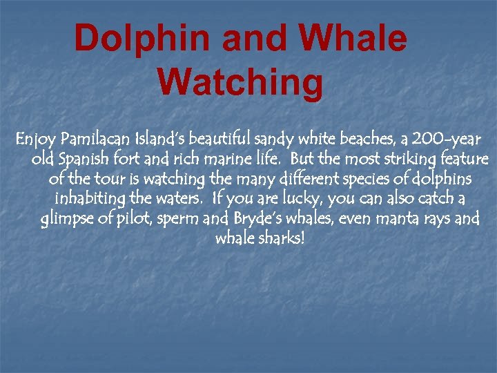 Dolphin and Whale Watching Enjoy Pamilacan Island’s beautiful sandy white beaches, a 200 -year