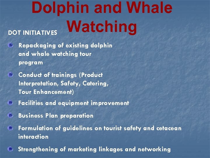 Dolphin and Whale DOT INITIATIVES Watching Repackaging of existing dolphin and whale watching tour