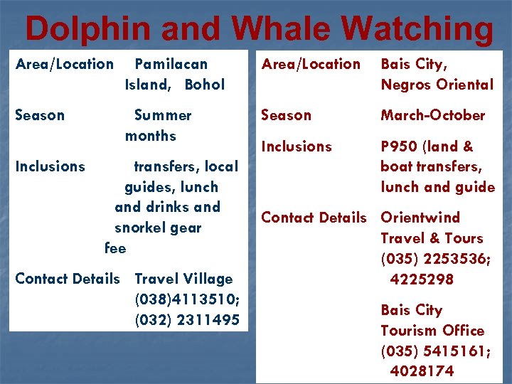 Dolphin and Whale Watching Area/Location Pamilacan Island, Bohol Area/Location Bais City, Negros Oriental Season