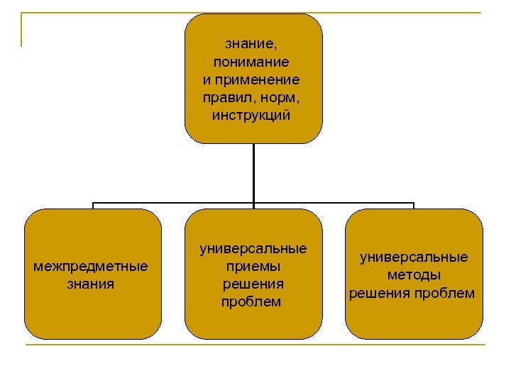 знание, понимание и применение правил, норм, инструкций межпредметные знания универсальные приемы решения проблем универсальные