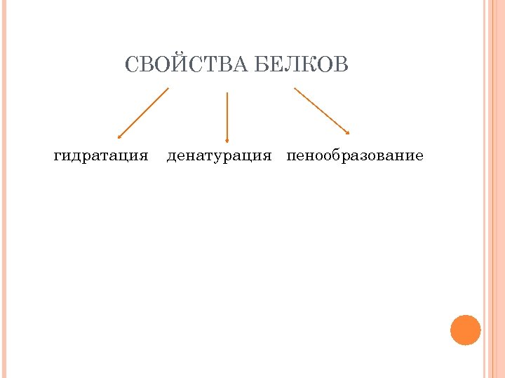 СВОЙСТВА БЕЛКОВ гидратация денатурация пенообразование 