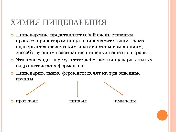 Химической точки зрения. Процессы лежащие в основе пищеварения химия. Химический процесс пищеварения. Физико-химические изменения пищи в процессе пищеварения. Химический процесс переваривание пищи.