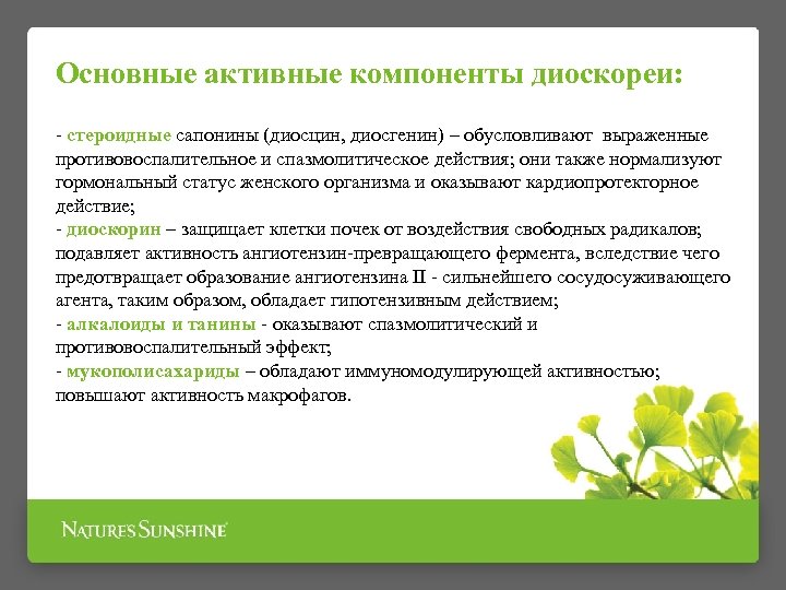 Основные активные компоненты диоскореи: стероидные сапонины (диосцин, диосгенин) – обусловливают выраженные противовоспалительное и спазмолитическое