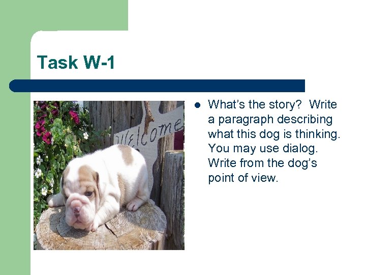 Task W-1 l What’s the story? Write a paragraph describing what this dog is