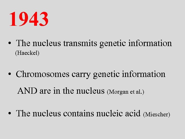 1943 • The nucleus transmits genetic information (Haeckel) • Chromosomes carry genetic information AND
