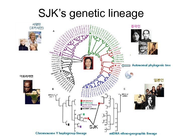 SJK’s genetic lineage Autosomal phylogenic tree SJK Chromosome Y haplogroup lineage mt. DNA ethno-geographic