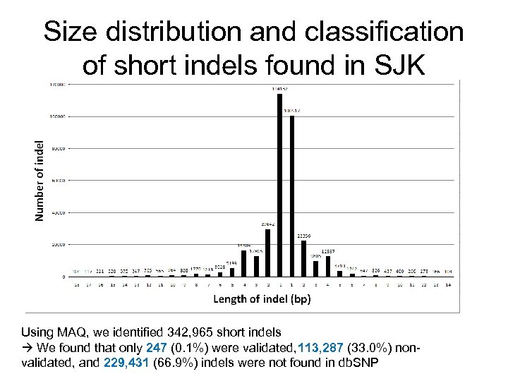 Size distribution and classification of short indels found in SJK Using MAQ, we identified