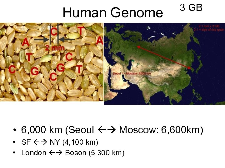 Human Genome 3 GB • 6, 000 km (Seoul Moscow: 6, 600 km) •
