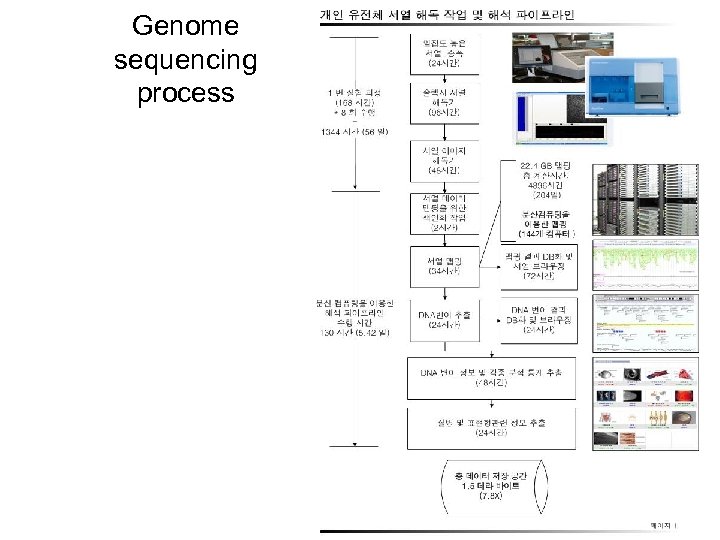 Genome sequencing process 