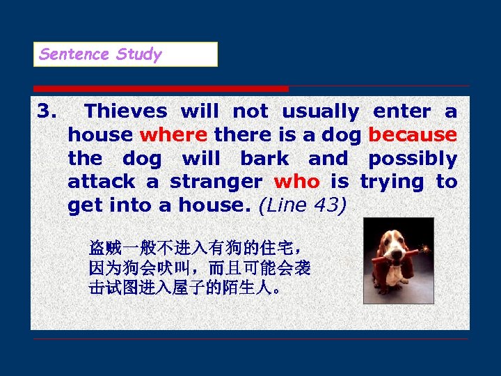 Sentence Study 3. Thieves will not usually enter a house where there is a