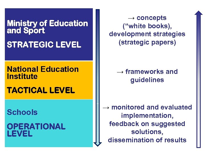 STRATEGIC LEVEL → concepts (“white books), development strategies (strategic papers) National Education Institute →