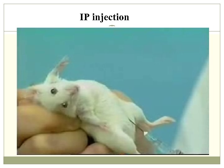 IP injection 