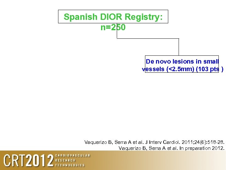 Spanish DIOR Registry: n=250 De novo lesions in small vessels (<2. 5 mm) (103
