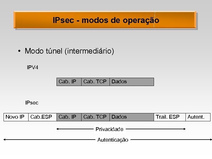 IPsec - modos de operação • Modo túnel (intermediário) IPV 4 Cab. IP Cab.