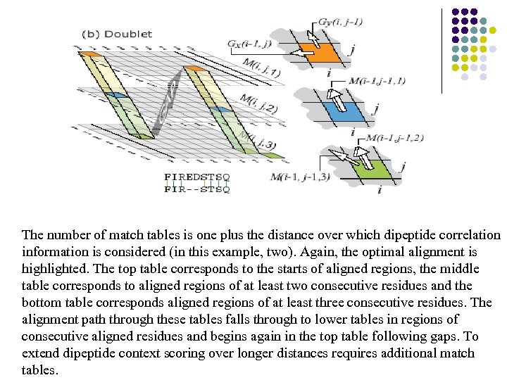 The number of match tables is one plus the distance over which dipeptide correlation