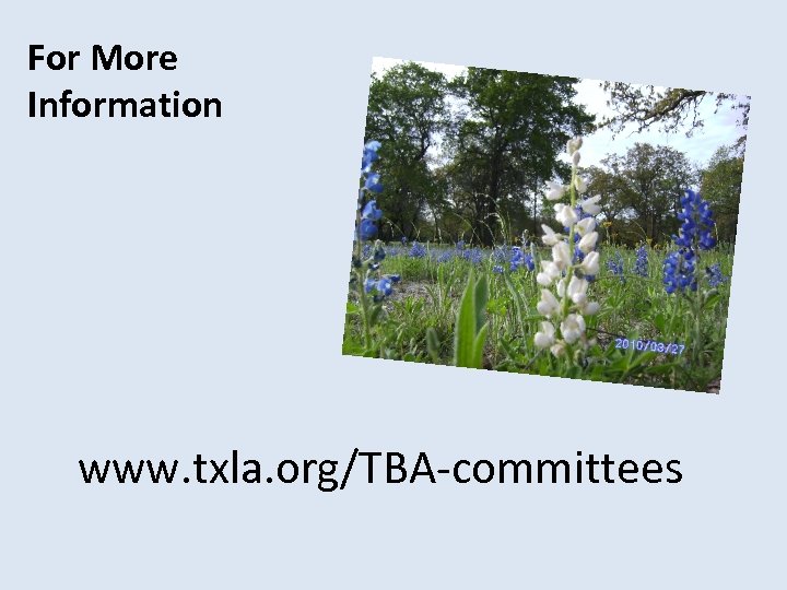 For More Information www. txla. org/TBA-committees 