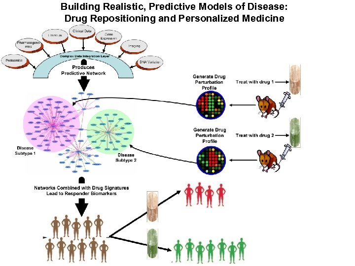 Building Realistic, Predictive Models of Disease: Drug Repositioning and Personalized Medicine 
