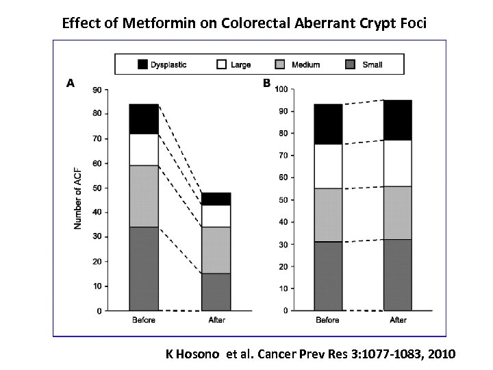 Effect of Metformin on Colorectal Aberrant Crypt Foci K Hosono et al. Cancer Prev
