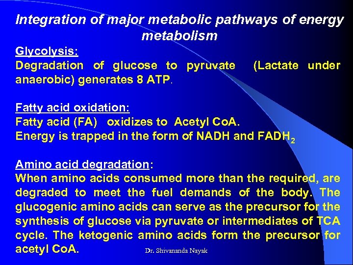 Integration of major metabolic pathways of energy metabolism Glycolysis: Degradation of glucose to pyruvate