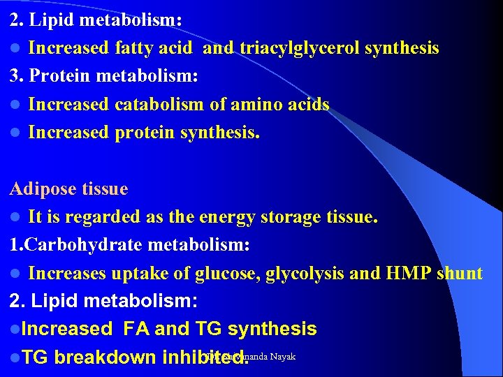 2. Lipid metabolism: l Increased fatty acid and triacylglycerol synthesis 3. Protein metabolism: l