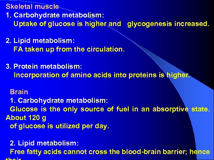 Skeletal muscle 1. Carbohydrate metabolism: Uptake of glucose is higher and glycogenesis increased. 2.