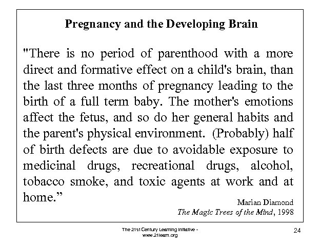 Pregnancy and the Developing Brain 