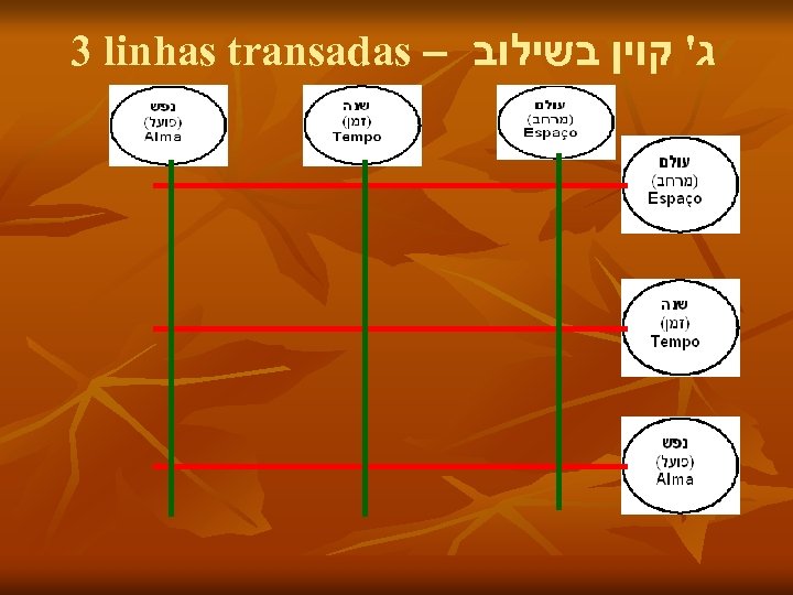 3 linhas transadas – ג' קוין בשילוב 