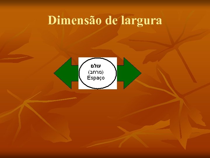 Dimensão de largura 