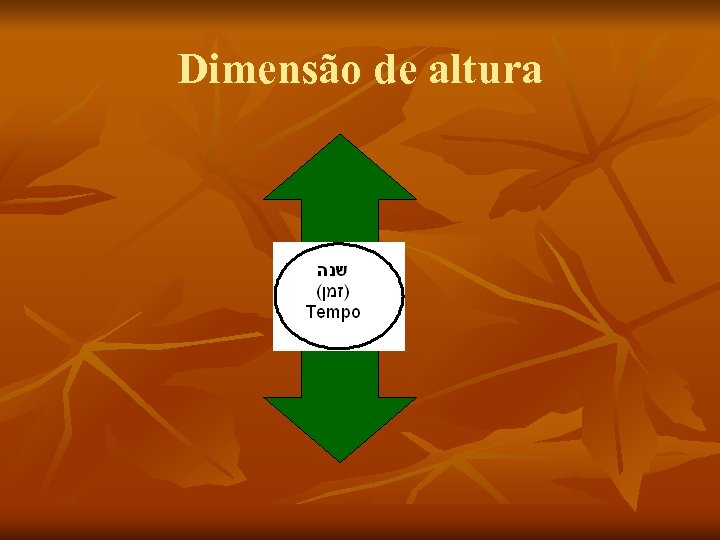 Dimensão de altura 